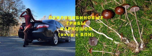 стафф Абдулино