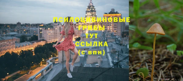 дурь Алексин